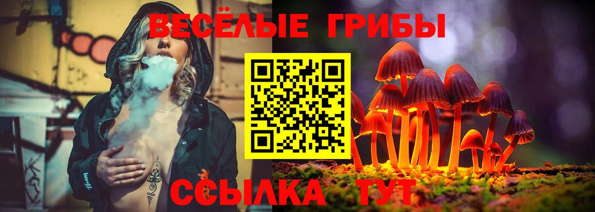 Галлюциногенные грибы Psilocybine cubensis Петрозаводск